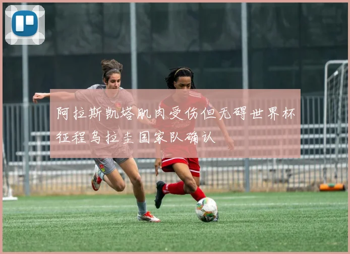 阿拉斯凯塔肌肉受伤但无碍世界杯征程乌拉圭国家队确认